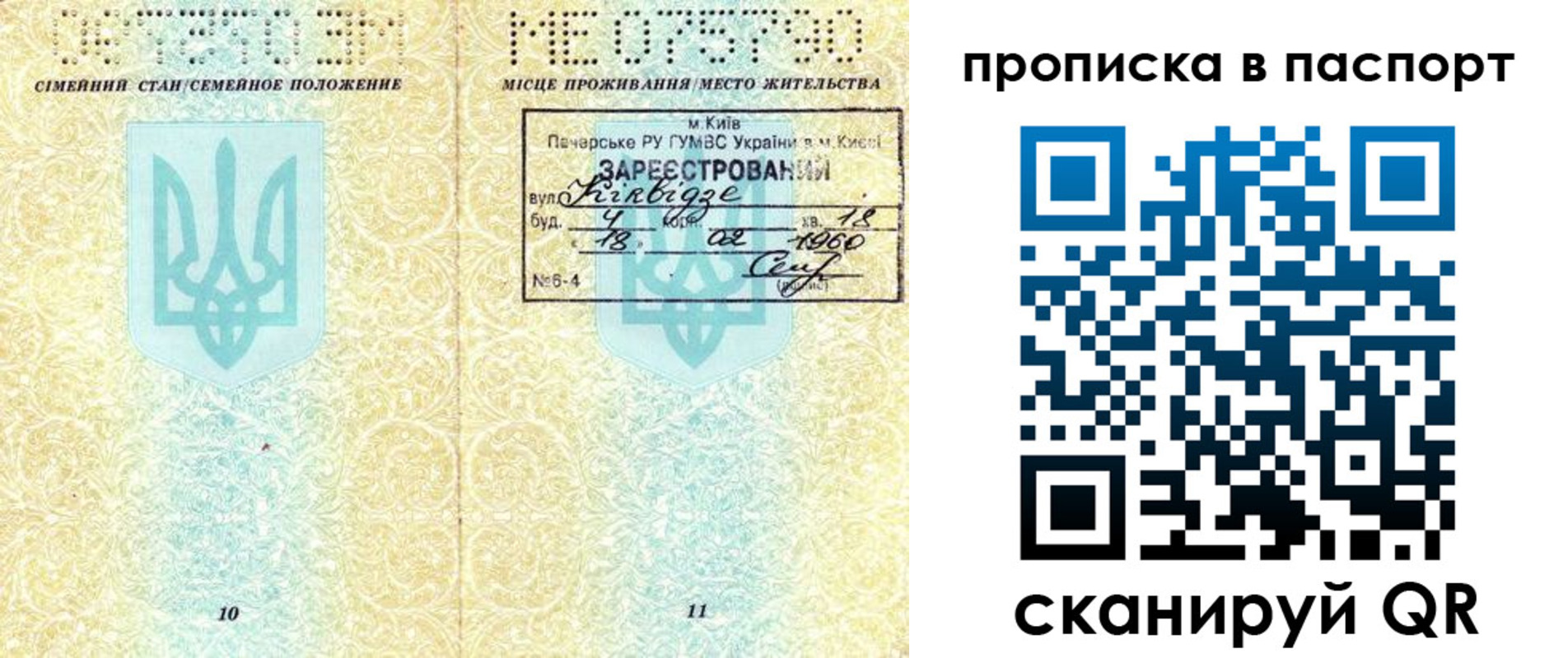 прописка паспорт в Барыше